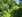 Bauen mit Festpreisgarantie! Sicher bauen mit Livinghaus