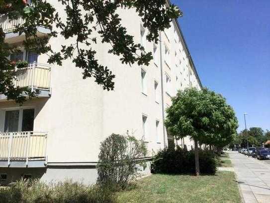 Striesen: 2-Raumwohnung mit separaten Zimmern in zentraler Lage