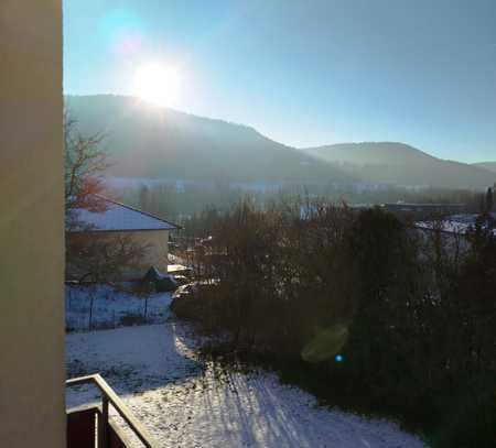 Renovierte 2-Zimmer-Wohnung mit Balkon in Albstadt Ebingen