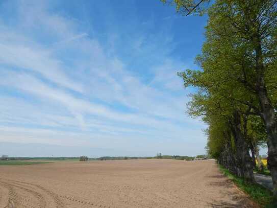 Traumhafte Lage: 8.500 m² Baugrund im Süden von Schwerin