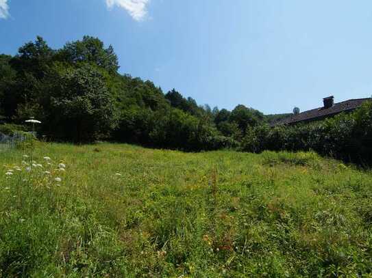 Wohnen, wo andere Urlaub machen - Großes Baugrundstück mit Wald