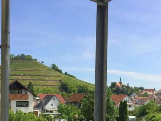 5,5 Zimmer Wohnung mit Sicht auf die Weinberge