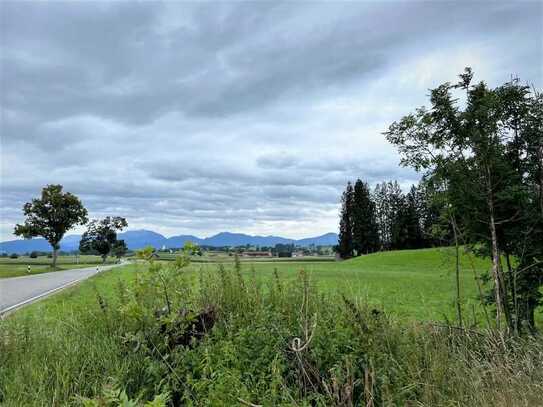 Weideland / Pferdewiese / Landwirtschaft mit Viehunterstand und Bergblick!