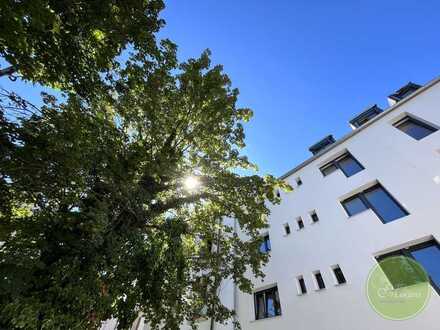 ** Dachterrassen Wohnung ** NEU saniert & "neuer" AltbauCharme ** 3 Zimmer ** ca. 74 qm **