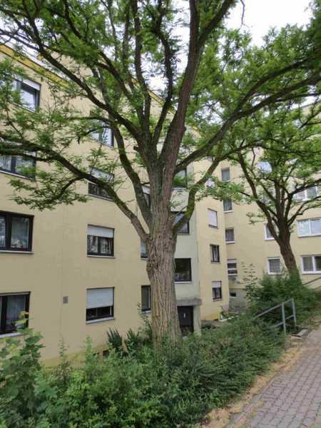                                                               Tapetenwechsel gef&auml;llig? &Ouml;ffentlich gef&ouml;rderte Wohnung sofort beziehbar!                                                       in Haag (Bayreuth)