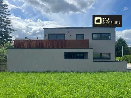 Hochwertiges KfW-Haus 55 mit 3 Loft-Wohnungen inkl. Garage und Stellplätzen am Silberberg/Leonberg