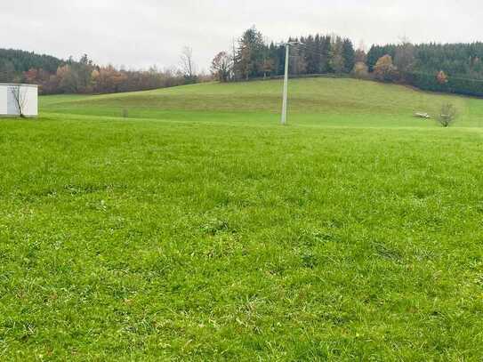 Landwirtschaftliches Grundstück mit 59.058 m² in 88239 Niederwangen