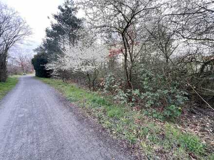 Großes Baugrundstück in Feldrandlage von Griesheim für ein 1-2 Familienhaus