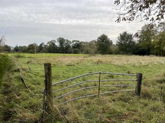 großes Baugrundstück auf dem Lande