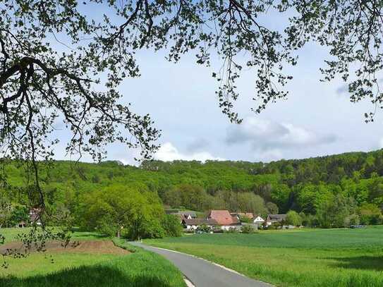 RUHIGE LAGE LEINBURG/ERNHOFEN: GROSSES BAUGRUNDSTÜCK FÜR EFH UND DHH NAHE AB-AUSFAHRT ALTDORF