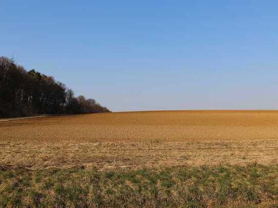 Gelegenheit: Grundstück für altersgerechtes Wohnen, Stockwerkeigentum, ca. 13.000 qm, bei Marburg