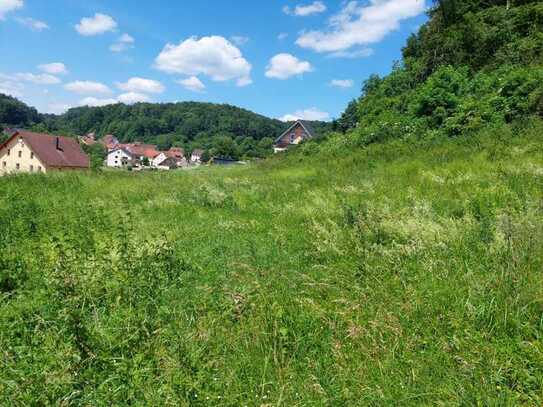 Naturnahes Grundstück für Ihren Traum vom Eigenheim