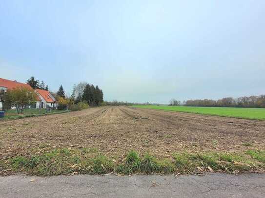 Landwirtschaftliches Grundstück in Unterschleißheim, Ortsteil Riedmoos