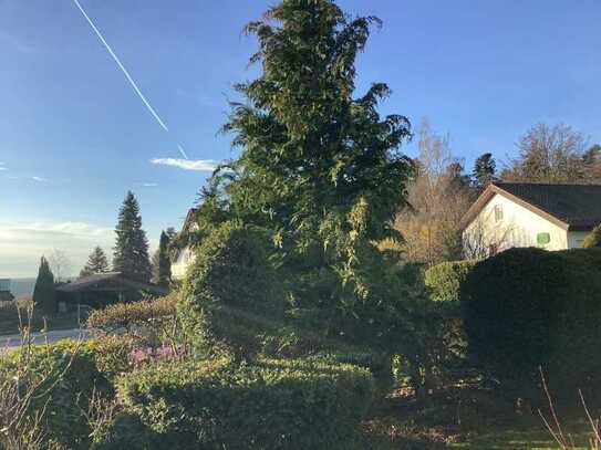 Sonniger Logenplatz auf dem Sommerberg - von Privat -