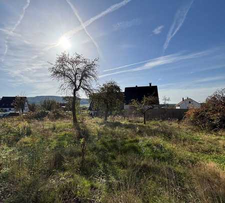 Idyllisches Grundstück für Einfamilien- Doppel- oder Mehrfamilienhaus