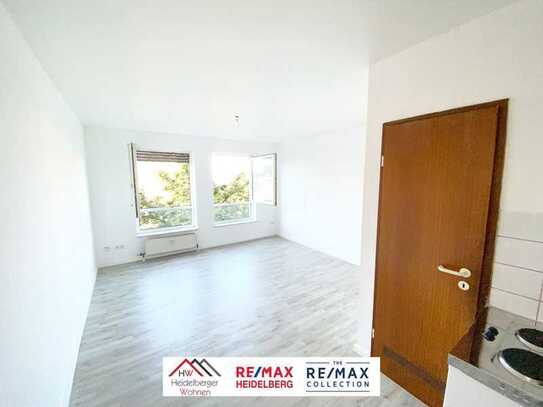 frisch renoviertes 1 Zimmer Apartment 4.OG, 21qm in Ludwigshafen zu vermieten