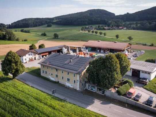 Traditions-Wirtshaus mit tollem Biergarten!