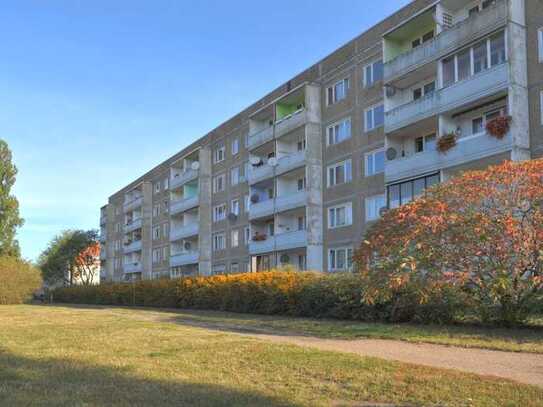 ideale Singlewohnung zur Selbstrenovierung