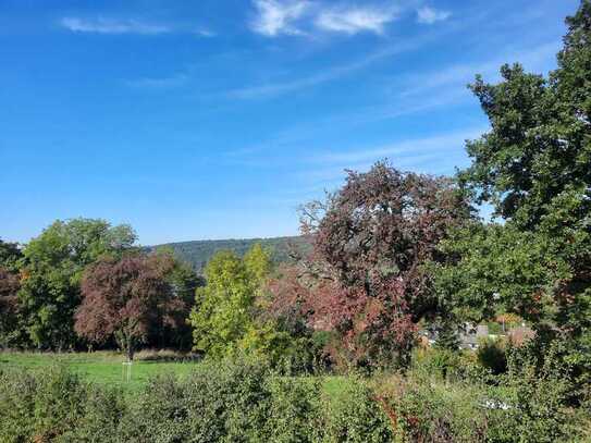 Dachgeschosswohnung in schöner Aussichtslage mit Balkon * provisionsfrei *