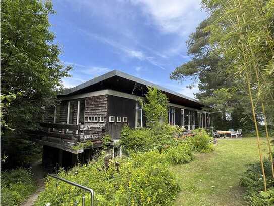 Pionierhaus im Grünen