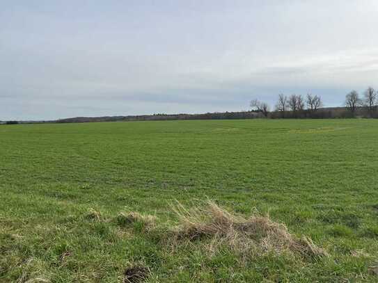 14 ha Landwirtschaftsfläche Acker in MV, LK Vorpommern-Greifswald!