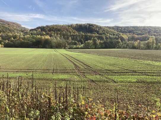 Land- und forstwirtschaftliche Flächen bei Großtöpfer, 50% Miteigentumsanteil, Verkauf durch Privat