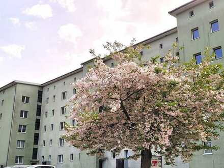 Ihre 3 Raum-Wohnung mit Balkon ist frei