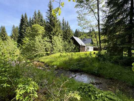 Idyllisches Chalet auf großem Waldgrundstück mit Bachverlauf im Erzgebirge