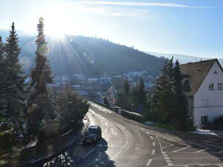 # HOCHWERTIGE WOHNUNG MIT TOLLER AUSSICHT #