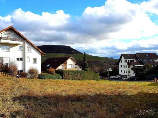 Wunderschöne Terrassenwohnung mit Gartenanteil und Garage in Erlenbach sucht neuen Mieter