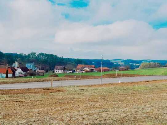 Genießen Sie die ländliche Idylle in Ohrenbach bei Auerbach