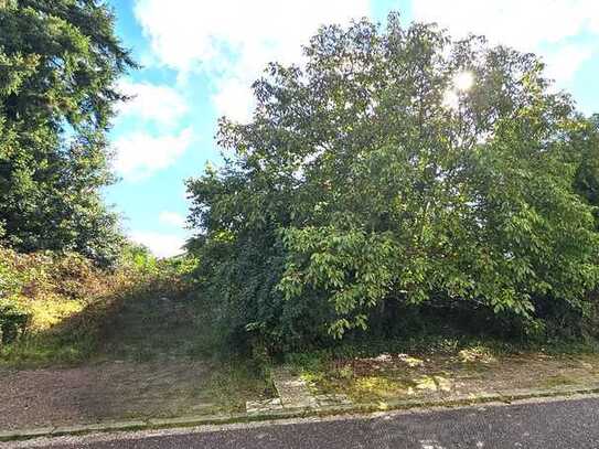 Baugrundstück in Oberlimberg, Natur pur!