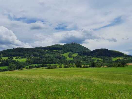 Gewerbehallen mit Potential in Kirchheim -Bohnau zu verkaufen