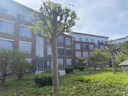 Bürogemeinschaft mit Dachterrasse und Domblick - der perfekte Raum für erfolgreiche Geschäfte