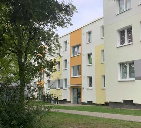 Teilsanierte und familienfreundliche 3 Zimmer-Wohnung mit Balkon im Erdgeschoss / Freifinanziert