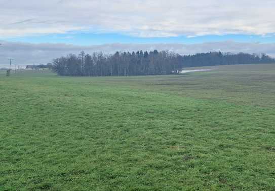 Wiesengrundstück Bio zertifiziert zu verkaufen - Gde. Rott am Inn