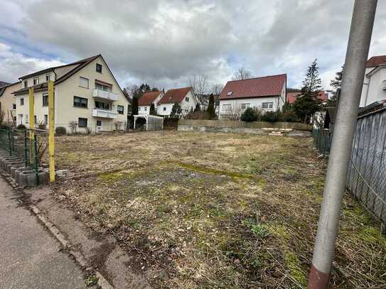 EUR 1,50 pro m2/Monat. ca. 483 m2 Freifläche zu mieten in Albstadt Truchtelfingen