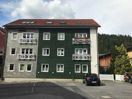 Geräumige helle 1-Zimmer-Wohnung komplett saniert