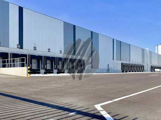 PROVISIONSFREI ✓ LOGISTIK-NEUBAU ✓ westliche Rhein-Main-Region ✓ 30.000 m² / teilbar ✓