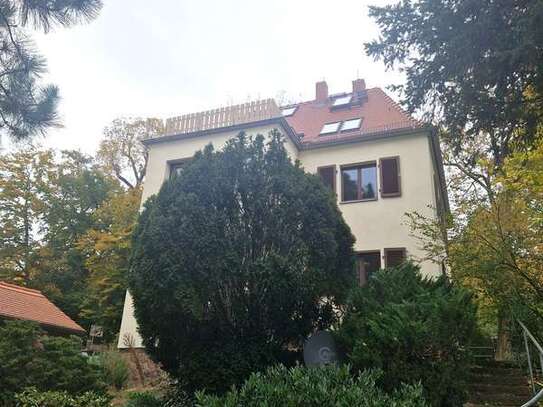 Traumhafte Aussichten - In bester Lage direkt an den Weinbergen in der Oberlößnitz