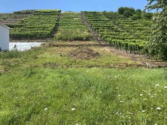 Exklusives Grundstück im Neubaugebiet Walheim