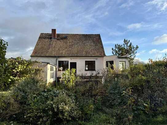 Haus im Dornröschenschlaf