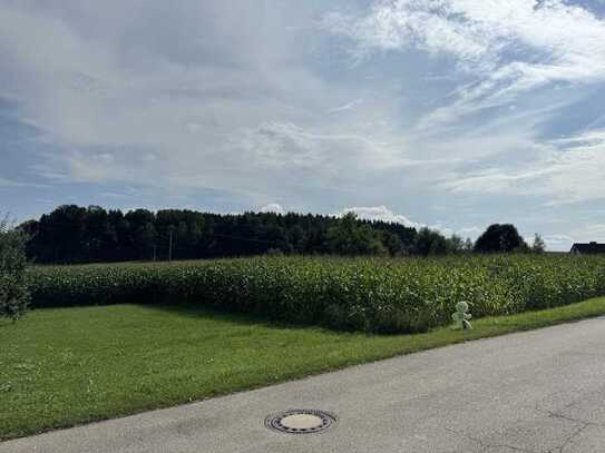 Traumhaftes und sonniges Baugrundstück (vollerschlossen) in der Nähe von München