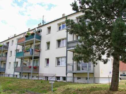 2-Zimmer Wohnung in Halle Seeben mit Parkett und Balkon