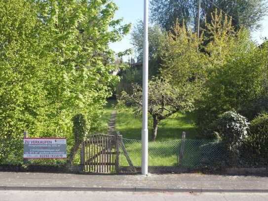 Einfamilienhaus bis Mehrfamilienhaus - Hier ist vieles möglich (bis zu 520m² Wohnfläche)!