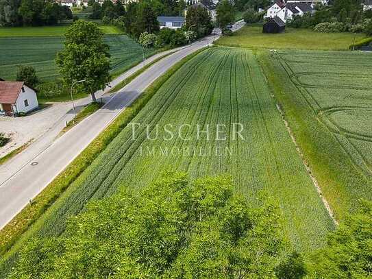 Paketverkauf - Investoren aufgepasst - 3 landwirtschaftliche Grundstücke