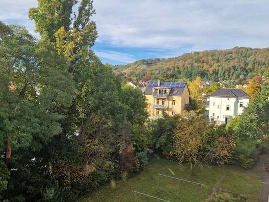 Sonnige Wohnung mit Balkon am Fuße der Weinberge!