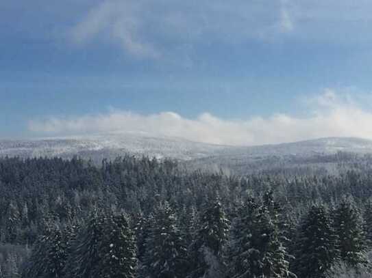 FREIE 2 ZIMMER WOHNUNG- HERRLICHER FERNBLICK IN DEN HARZ