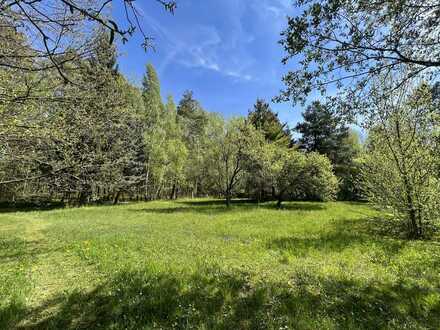 Große Gartenidylle (ca. 6.000m²) - Nähe Blaue Adria