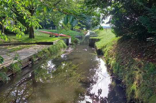 Einfamilienhaus m. Einliegerwohnung Pferdehof Teich Golfplatz Naturgarten Einzugsgebiet Worpswede